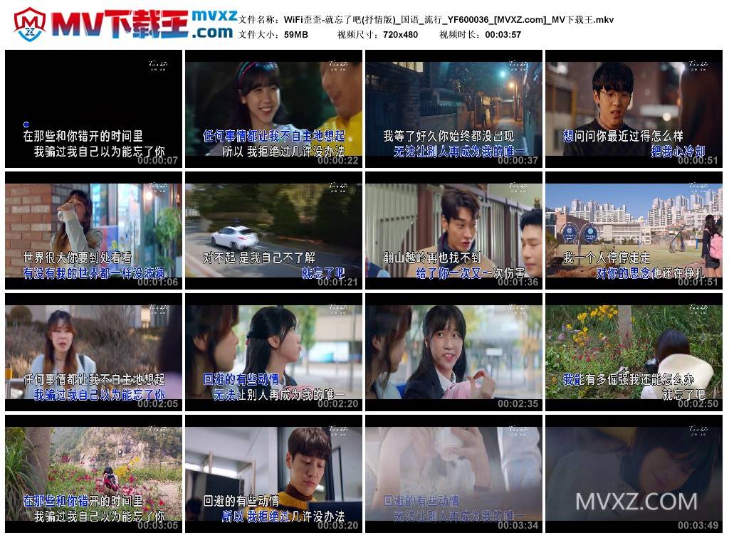 WiFi歪歪-就忘了吧(抒情版)_国语_流行_YF600036